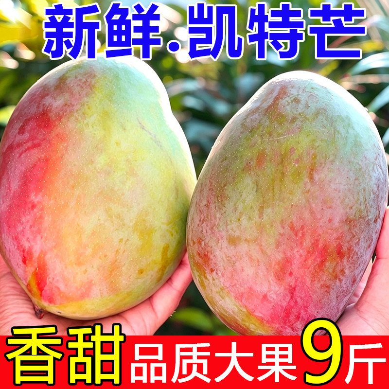 正宗凯特芒新鲜芒果四川澳芒大果整箱