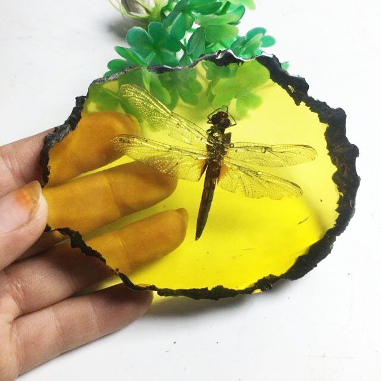 天然虫珀昆虫标本工艺品摆件 琥珀蜜蜡蝴蝶蜻蜓蝎子金蝉原石 客厅桌面装饰